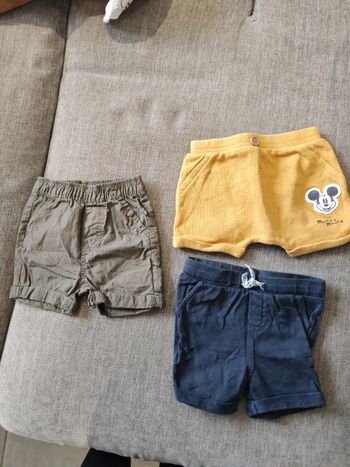 Lot short bébé garçon 6 mois 