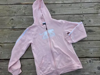 Lot veste zippé 