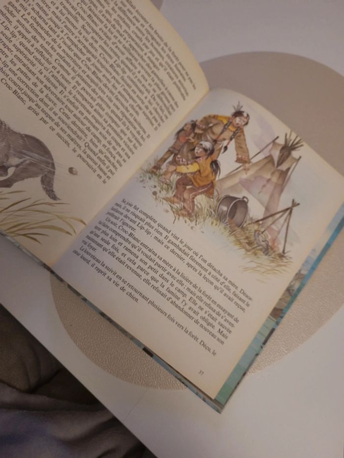 Livre Croc blanc - photo numéro 2