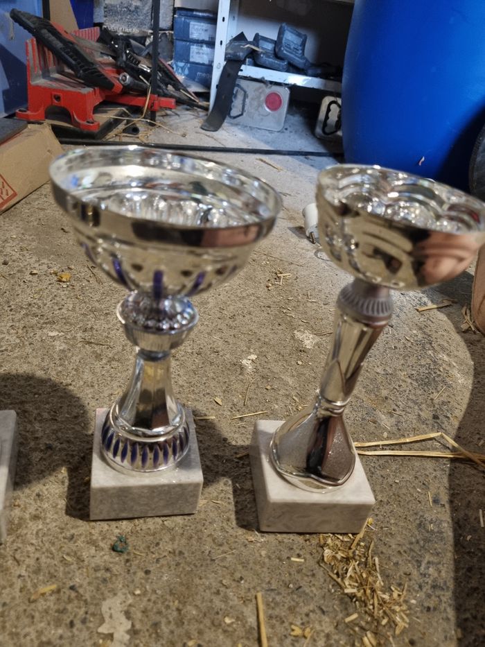 Coupes - photo numéro 4