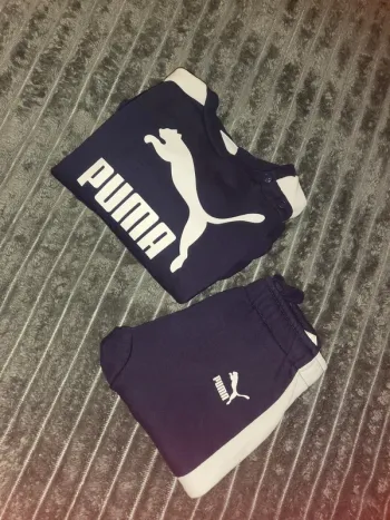 Ensemble puma