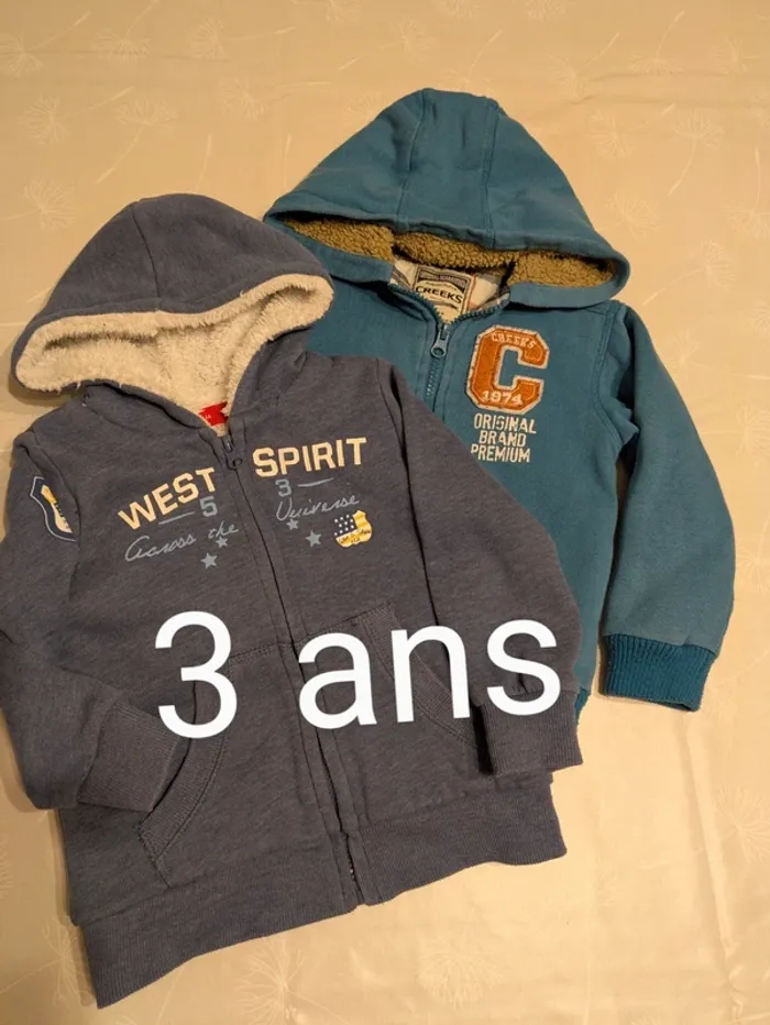 Lot de 2 sweats / vestes garçon 3 ans