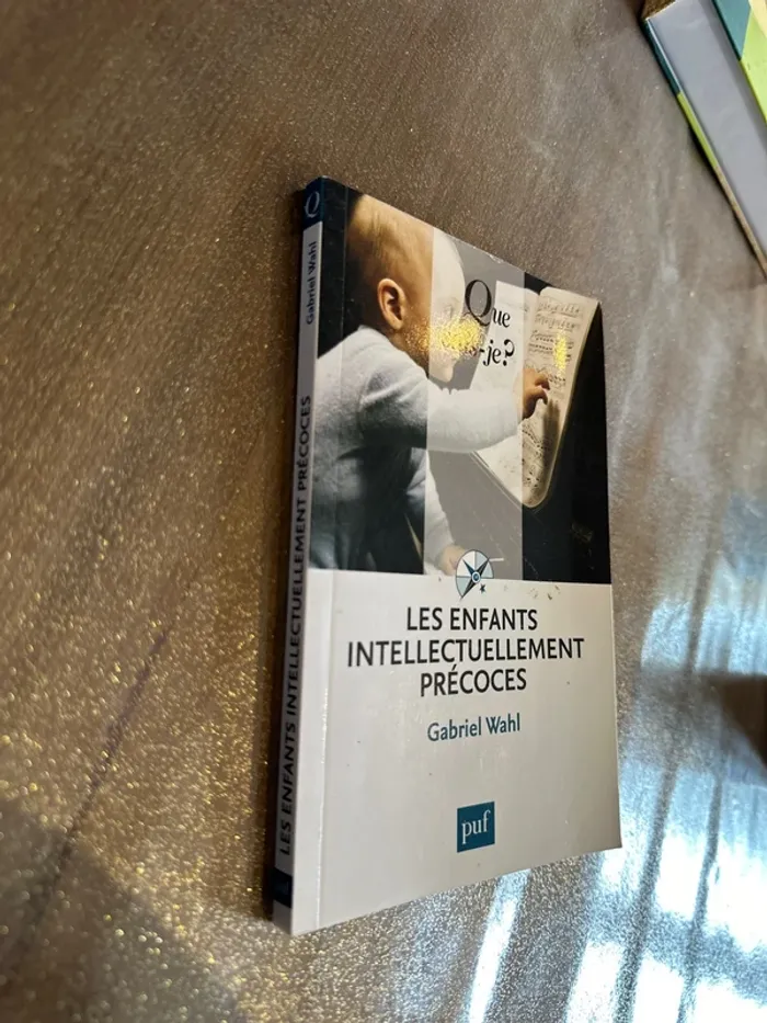 Livre les enfants intellectuellement précoce - photo numéro 2