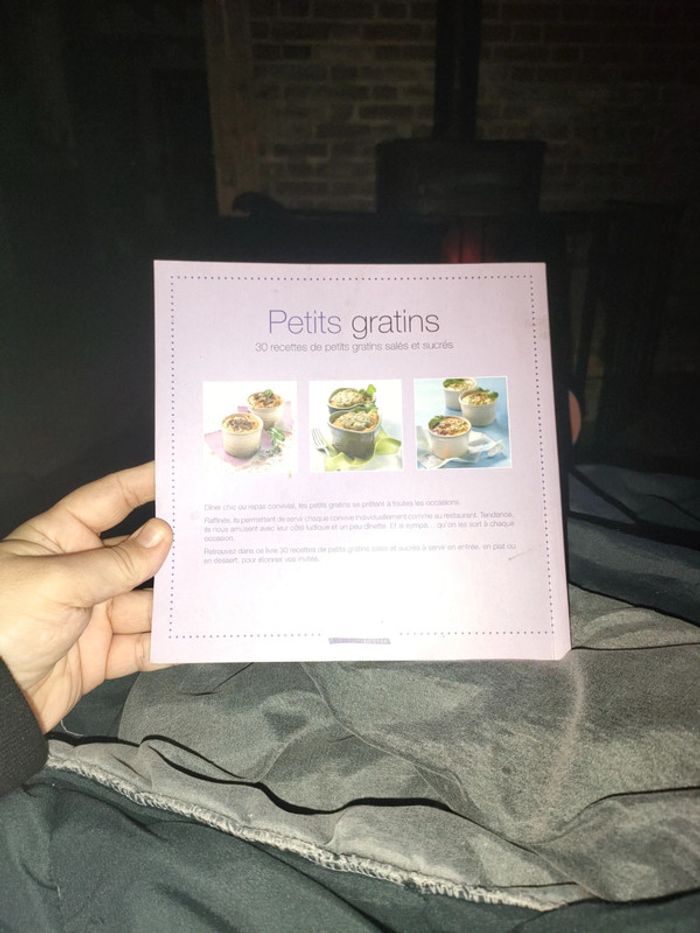 Livre cuisine petits gratins 30 recettes neuf - photo numéro 3