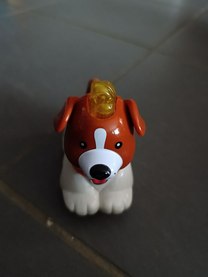 Tutut animo - photo numéro 8