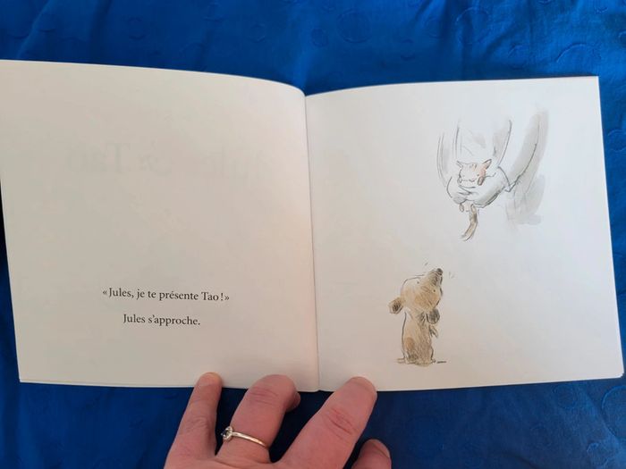 Album / Livre - photo numéro 3