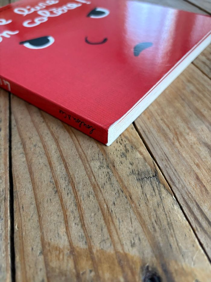 Livre de la colère - photo numéro 2