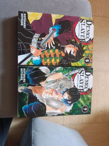 Mangas démon slayer
