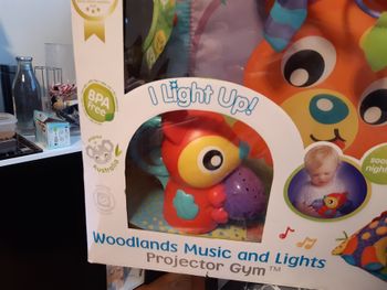 Tapis de jeux Playgro