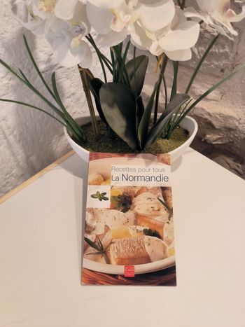 livre de cuisine Recettes pour tous la Normandie en tres bon etat