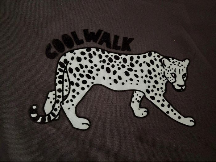 Pull Cool Walk - photo numéro 2