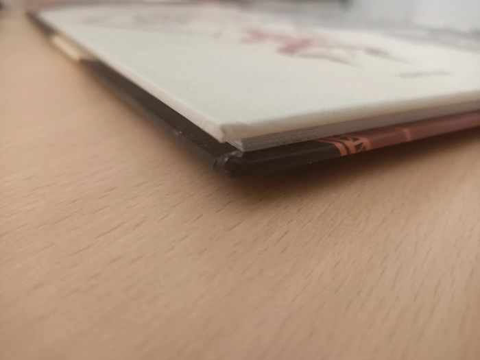 BD L'ogre lion tome 1 : le lion barbare (Bessadi / éditions Drakoo) - photo numéro 5