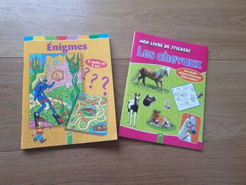 livres chevaux et enigmes