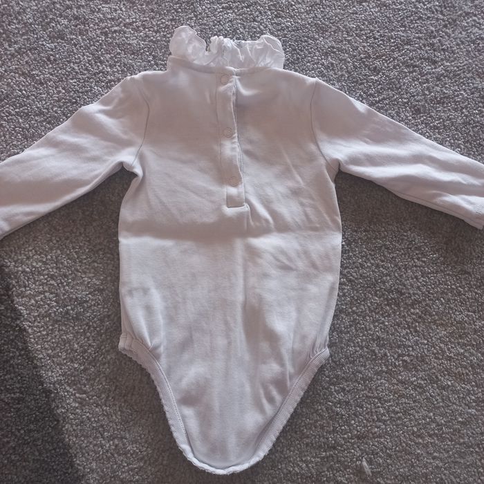 Body colcyrillus - photo numéro 3
