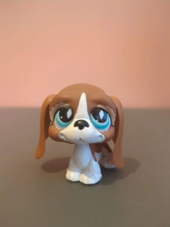 Littlest Petshop Lps Chien