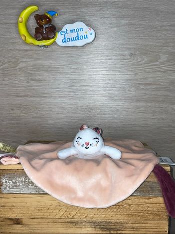 DIV379 doudou chat 🐱 ostaria
