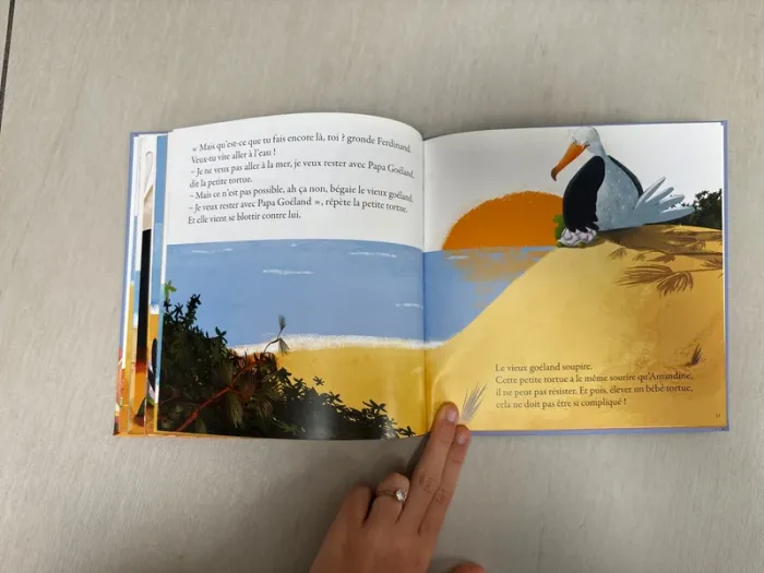 Ferdinand : le papa goéland - photo numéro 5