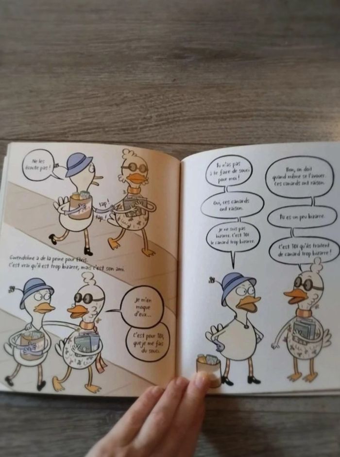 Des  canards  trop bizarres - photo numéro 3