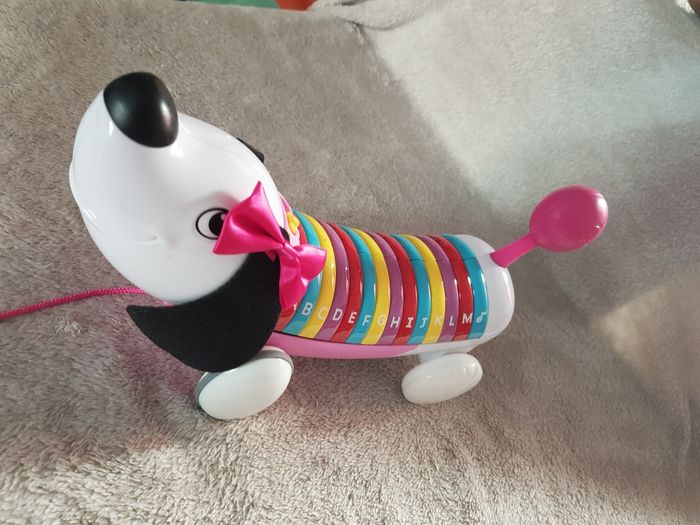 Chien traîneau - photo numéro 4