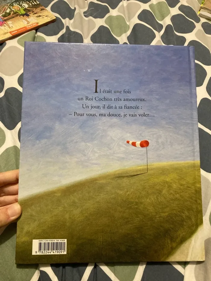 Livre Le roi cochon qui voulait voler - photo numéro 2