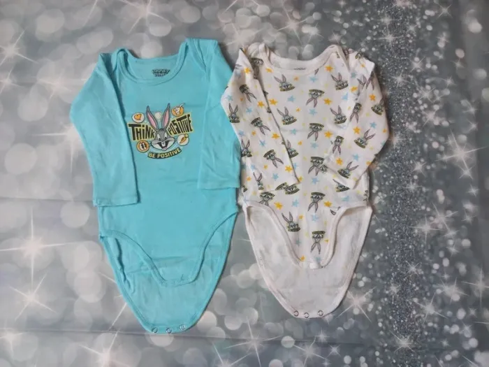 Lot 2 bodies
