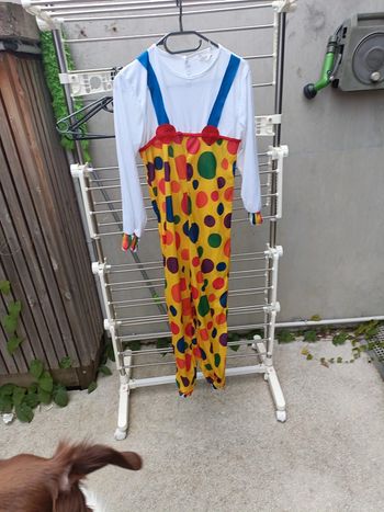 Déguisement clown enfant taille large 10-12 ans