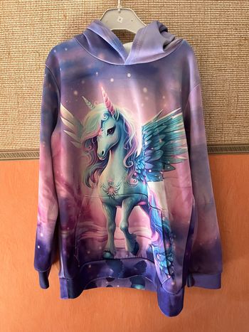 Sweat à capuche pony