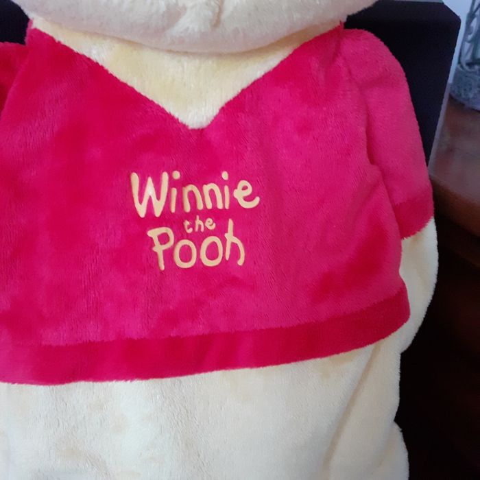 Disney: Range-pyjama "Winnie l'ourson " - photo numéro 2