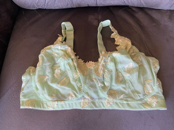 Soutien gorge vers anis 115f