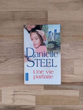 Livre Danielle Steel - une vie parfaite