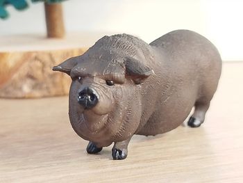 Figurine cochon du Vietnam Animal de la ferme
