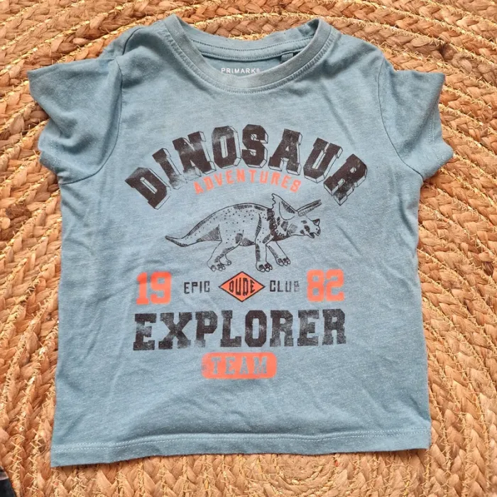 Lot 20 t-shirts 2 ans garçon - photo numéro 5