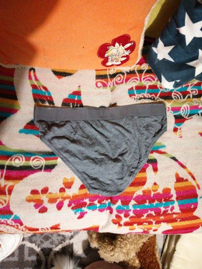 Slip gris - photo numéro 2