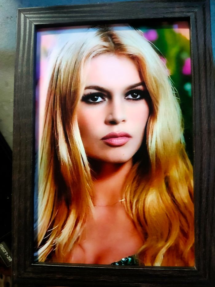 Cadre photo Brigitte bardot