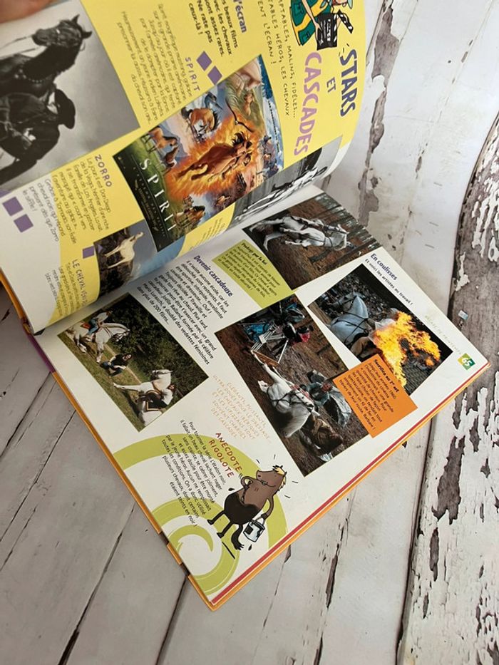 Livre à cheval les filles - photo numéro 4