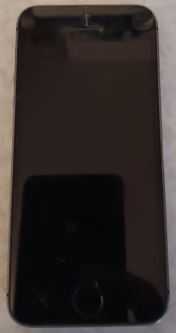 Apple IPhone 5s Noir Gris Argenté