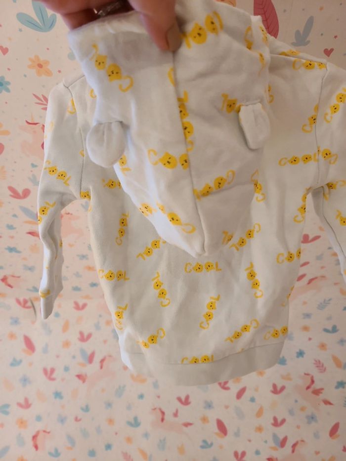 Sweat cool - photo numéro 3