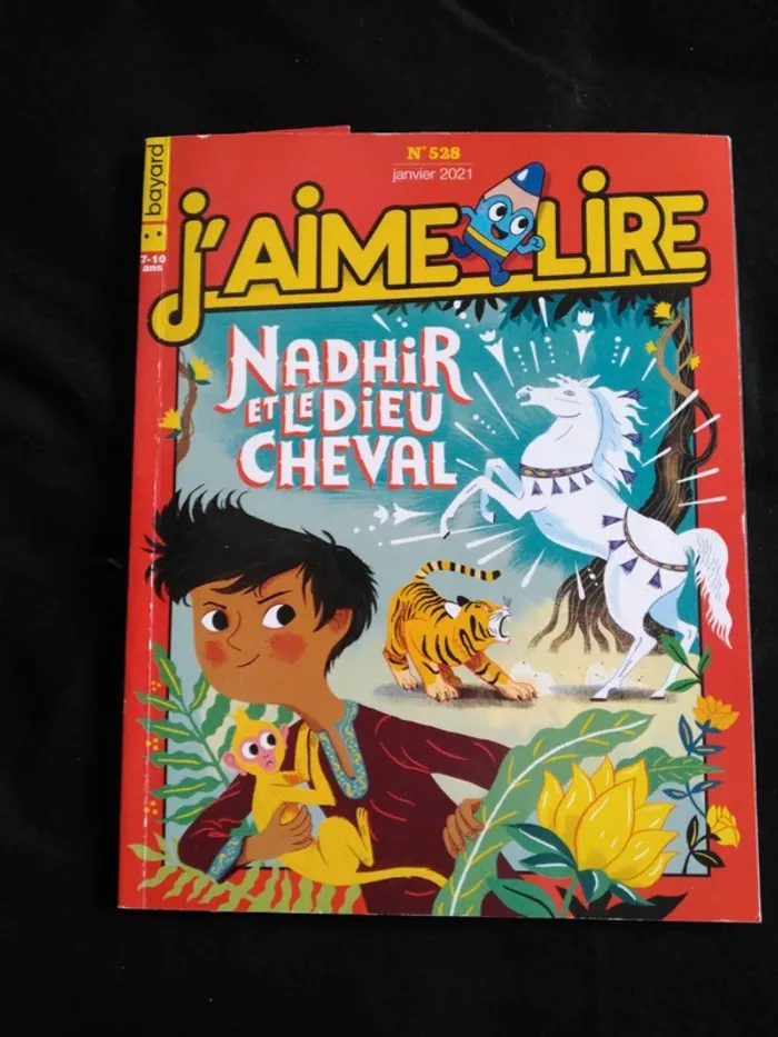 Lot de 10 Livres Magazines J'aime lire - photo numéro 4