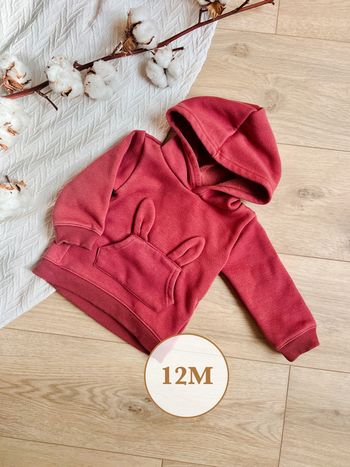 🐰 Pull / 12 Mois