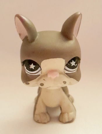 Figurine Littlest Pet Shop Boston Terrier gris