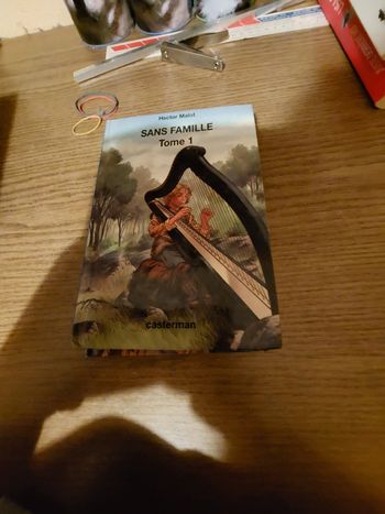 Livre de  hector malot sans famille  tome 1