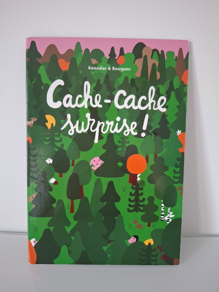 Livre Cache Cache Surprise