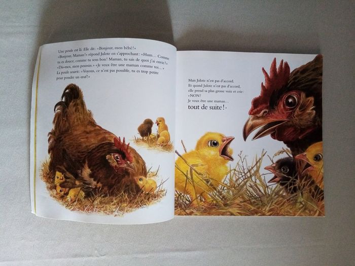 Livre pour enfant : l'école des loisirs - photo numéro 6
