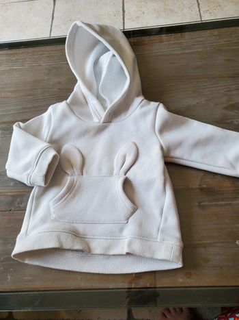Sweat capuche 9 mois