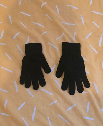 GantS