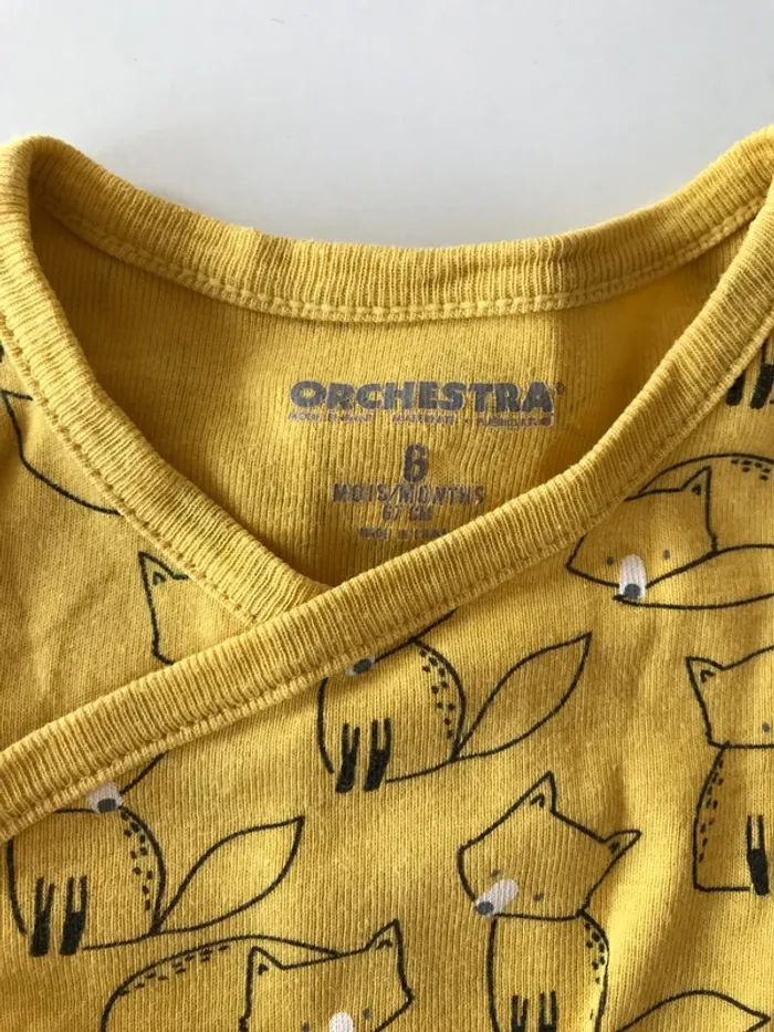 3 bodies orchestra ML 6 mois Orchestra 🦊 - photo numéro 6