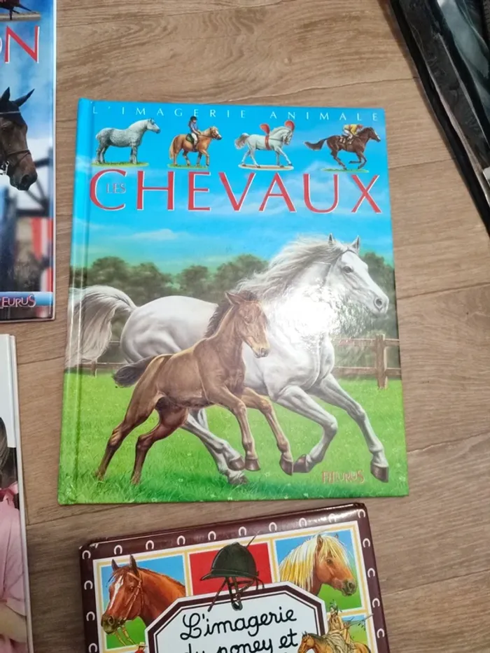 Livres thème equitation - photo numéro 3