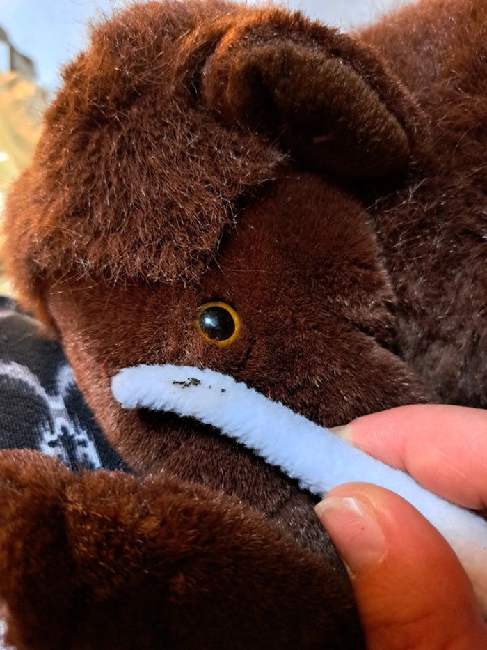 Mammouth - photo numéro 3