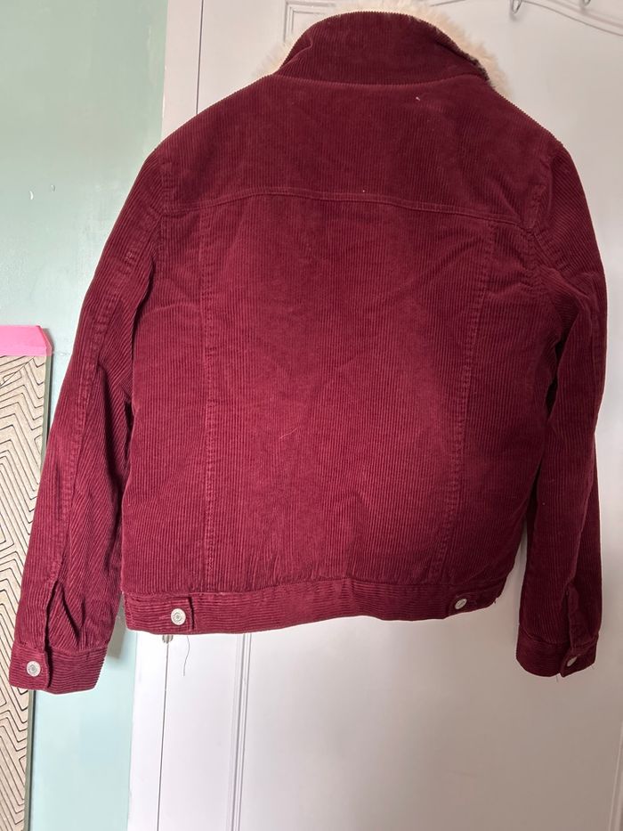 Verte polaire - photo numéro 3