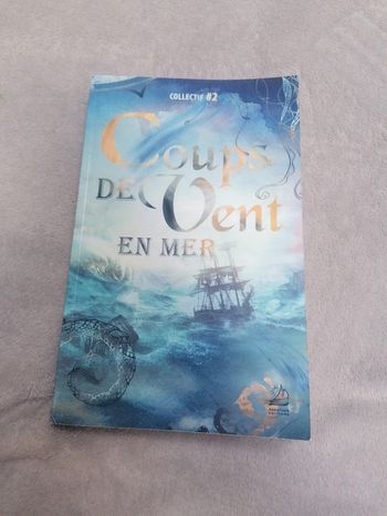 Coups de vent en mer